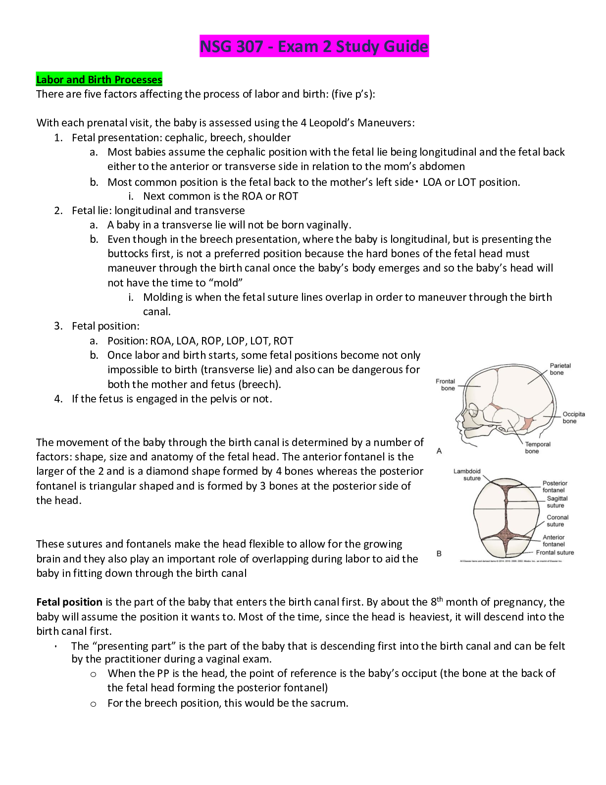 Preview of NSG 307 - Exam 2 Study Guide